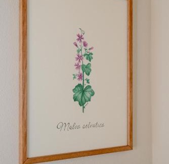 Sariano House | Agriturismo La Costa