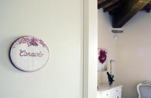 Castiglion Fibocchi House | Agriturismo la Concezione