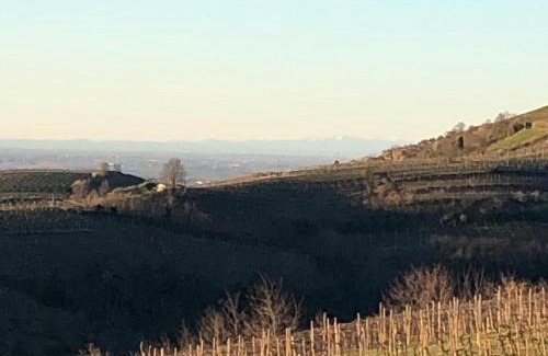 Monteforte d'Alpone House | Agriturismo la Preara