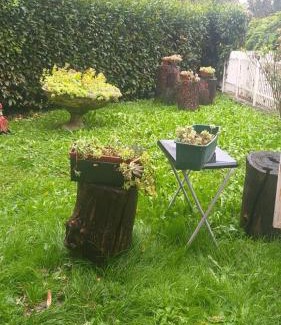 Castellamonte House | Agriturismo la Terra di Mezzo