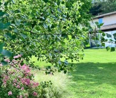 Fossombrone House | Agriturismo "Le Cannelle" spa & day wellness