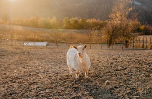 Ponzone House | Agriturismo Le Piagge