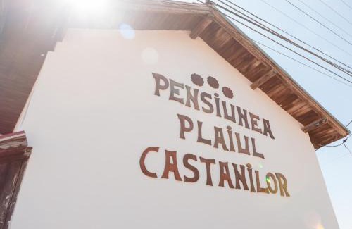 Tismana House | Agro-pensiunea "Plaiul Castanilor"
