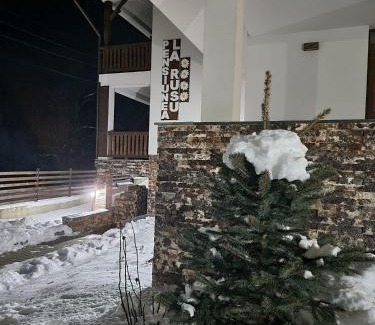 Rodna Villa | Agropensiunea turistică La Rusu