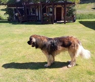 Szczecinek House | Agroturystyka Dolinka