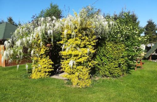 Sarbsk House | Agroturystyka Józefówka Borkowo Lęborskie