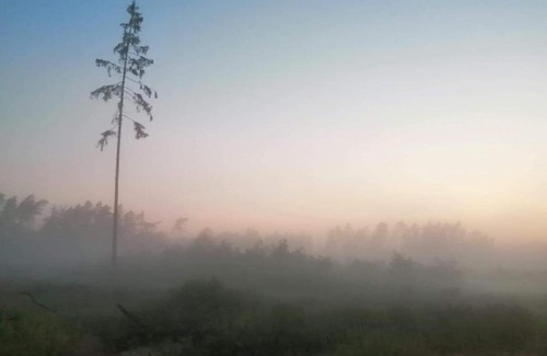 Trzciniec House | Agroturystyka W sercu kniei