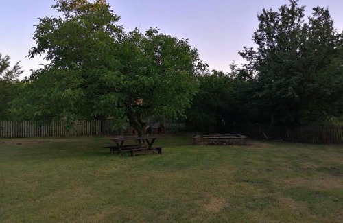 Trzciniec House | Agroturystyka W sercu kniei