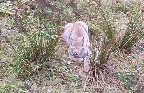 Trzciniec House | Agroturystyka W sercu kniei