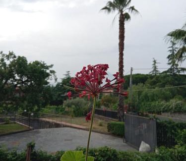 Mascalucia Apartment | Ai 4 gatti