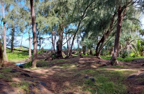 Ainaloa House | Ainaloa Home of Big Island for Queens size bedroom