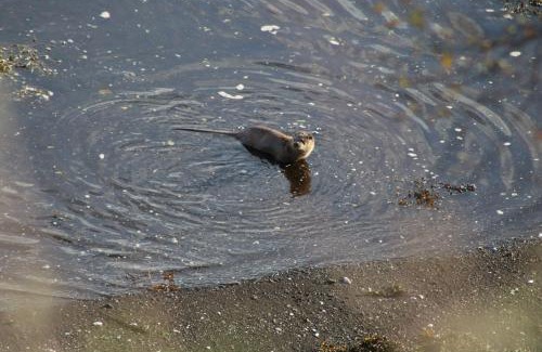 Achachork House | Air an Oir - Skye Self Catering