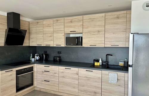 Illkirch-Graffenstaden Apartment | Air-conditioned Apartment with terrace