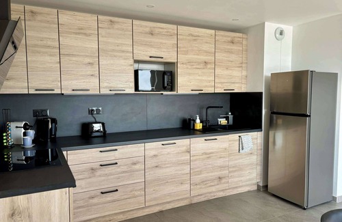 Illkirch-Graffenstaden Apartment | Air-conditioned Apartment with terrace