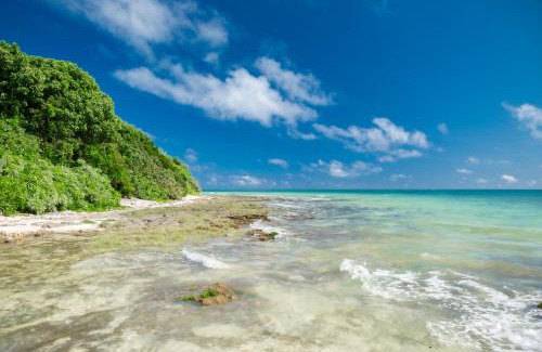 Miyara House | AK Resort ISHIGAKI