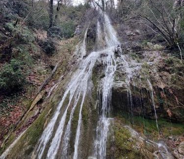 Oronz Apartment | AlaiSuberri