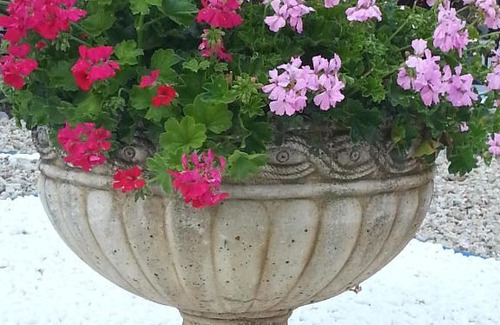 Kiten House | Albatros Hotel