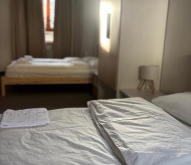 Illegio Hotel | Albergo Miramonti Illegio