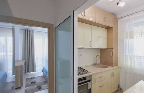 Iasi Apartment | Alessandro Home 5 Luxury Centru Palas Mall Iasi