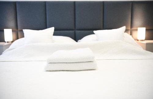 Kosice Old Town Apartment | Alexander library apartment