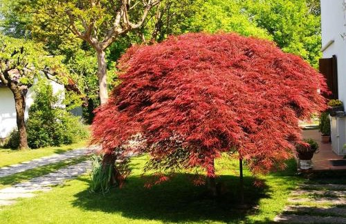 San Trovaso Bed & Breakfast | Alle Grazie