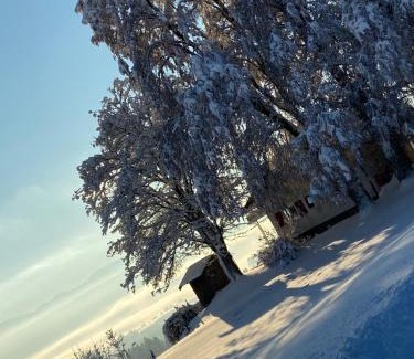 Weiler-Simmerberg Apartment | Allgäu Cottage - traumhafter Blick in die Schweizer Berge