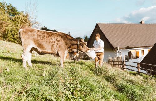 Sankt Marein bei Knittelfeld House | Almhaus Rinner