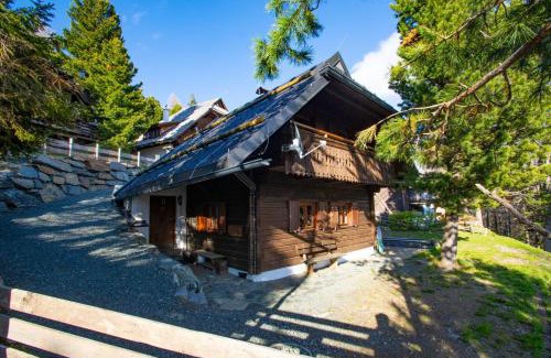 Reichenau House | Almhaus Falkertzeit