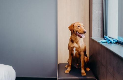 Bucksburn Hotel | Aloft Aberdeen TECA