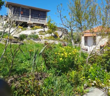 Oliveira de Frades House | Alojamento São Lourenço