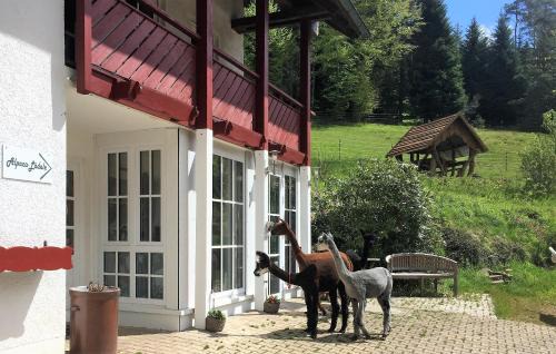 Lauterbach Apartment | Alpaca-Village