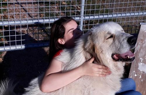 Lauterbach Apartment | Alpaca-Village