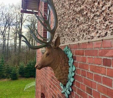 Rinteln Apartment | Alte Försterei Goldbeck