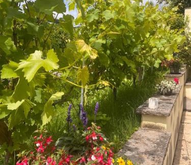 Mainz-Bingen Apartment | Am Dollespark