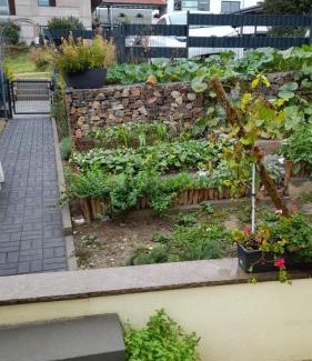 Mainz-Bingen Apartment | Am Dollespark