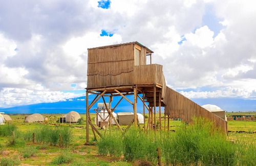 Amboseli RV Rental | Amanya 1-bed Leopard Family With Mt Kilimanjaro vi - Campsite