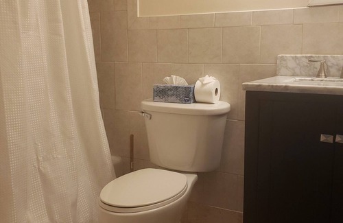 Annandale House | Amazing Escape - 2BD, 1BTH, Basement near DC