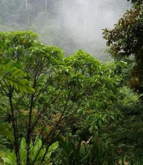 Seremban Villa | Amazing Feel In PLASSID