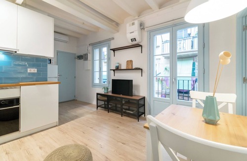 Barceloneta Apartment | Amazing flat in Barceloneta w/private terrace 2-2