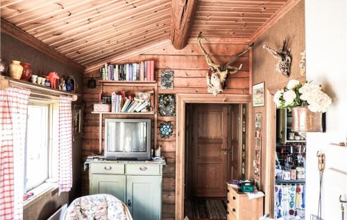 Enviken House | Amazing Home In Enviken With Lake View