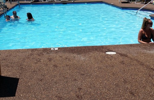 The Point Condo | Amazing view of the harbor