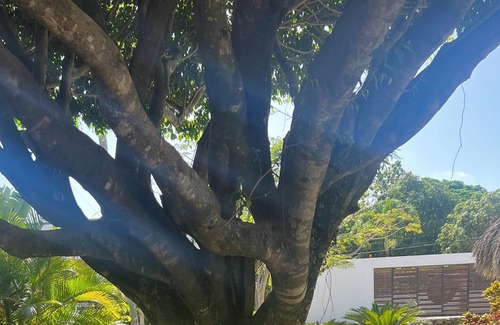 Cabrera Villa | Amazing Villa, Nice Forest/Ocean Views. 5 Bedroom