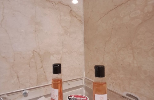 Nungambakkam Hotel | Amber Hotel Nungambakkam