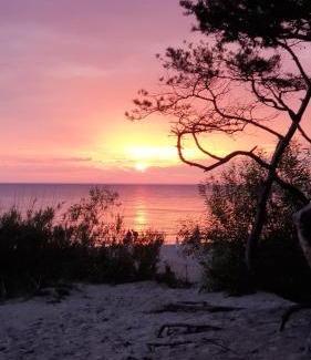 Palanga Apartment | AMBER sea studio su terasa ir baseinu Kunigiškiuose