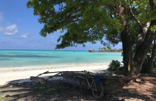 Pongwe Cabin | Amerani nyumba