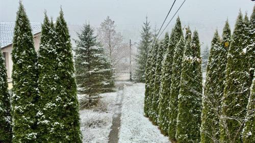 Poiana Tapului Villa | AMK House - Busteni
