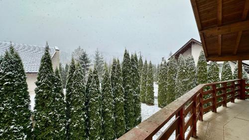 Poiana Tapului Villa | AMK House - Busteni