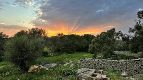 Palau Bed & Breakfast | Ammentos