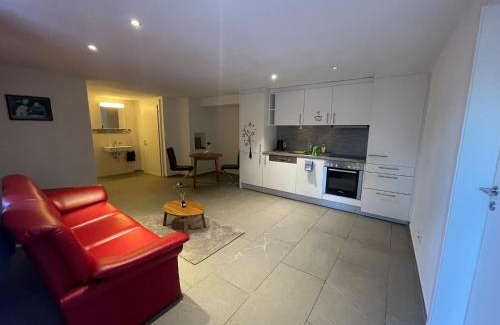 Amsteg Apartment | Amsteg Apartments