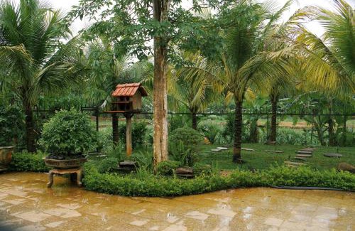 Buon Ma Thuot House | An Nhien Homestay - Relaxing Home
